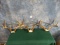 Three Large Whitetail Deer Racks Taxidermy ( 3 x $ )