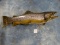 Brand New! Large Brown Trout Fiberglass Reproduction Fish Mount Taxidermy