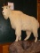 Boone & Crockett Mountain Goat Shoulder Mount Taxidermy