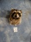 Brand New! Raccoon Shoulder Mount Taxidermy