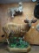 Awesome Western Bongo in Habitat Full Body Mount Taxidermy