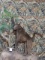 Cool African Chacma Baboon Full Body Mount Taxidermy