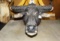 Super Cool Australian Water Buffalo Shoulder Mount Taxidermy