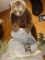 Huge Russian Brown Bear Hunting for a Marmot Full Body Mounts Taxidermy