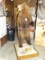 Standing Cinnamon colored Black Bear Full Body Mount Taxidermy