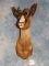 Gorgeous Black Springbuck Gazelle Shoulder Mount Taxidermy