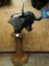 African  Black Wildebeest Floor Pedestal Mount Taxidermy