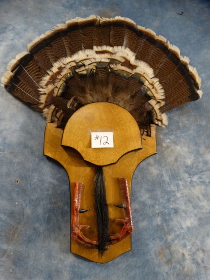 Rio Grande Wild Turkey Tail, Feet with Spurs and Beard Mount on Panel Taxidermy