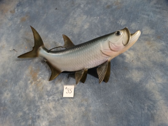 Brand New 27" Fiberglass Reproduction Tarpon Fish Mount Taxidermy