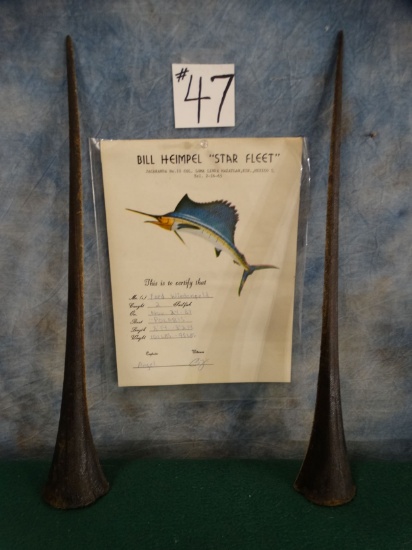 Two Pacific Bills with Certification 101 Lbs. & 93 Lbs. Taxidermy ( 2 x $ )