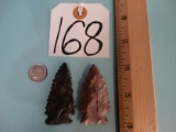 Pair of Authentic Archaic Pinetree Indian Arrowheads ( 2x $ )