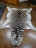 Awesome Large South African Chapman's Zebra Rug Taxidermy Mount