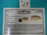 Authentic Paleo Rare Midland  Point Indian Artifact Arrowhead with COA