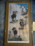 Grand Slam of North American Wild Sheep Framed Print by Peter Darro.