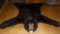AAA Quality Winter Fur Black Bear Rug Mount Taxidermy