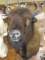 Brand New! Quality American Bison 
