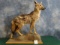 East African Silver-Backed Jackal Full Body Mount Taxidermy