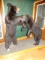 Pair of Angry Black Bears Full Body Mount Taxidermy