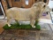 Very Large African Lion Full Body Mount Taxidermy **TEXAS RESIDENTS ONLY**