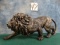 Bronze Covered African Lion Resin Sculpture