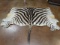 1/3 Tanned Zebra Backskin Taxidermy