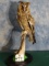 Russian Long-Eared Owl Bird Mount Taxidermy