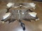 (2) African Partial Tanned Backskin Taxidermy (2 x $ )