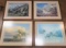 Four Framed North American Sheep Prints by N.Glazier ( 4 x $ )