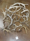 Box of 22 1/4 Lbs. of Deer Sheds Taxidermy