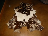 African Tanned Masai Goat Skin Taxidermy