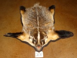 Brand New Badger Rug Mount Taxidermy