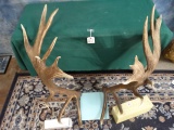 Mega Awesome Matching Non-typical Elk Sheds Taxidermy
