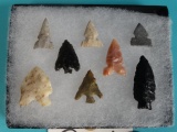 (8)Authentic 8 Bird Points from Texas Panhandle Arrowheads