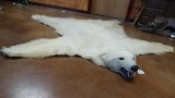 Awesome Pre-Ban Polar Bear Rug Taxidermy Mount **U.S. Residents Only**