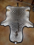 Awesome AA African Grants Zebra Rug 