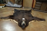 Awesome Big Cinnamon Black Bear Rug Mount Taxidermy