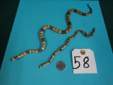 Two Coral Snakes Taxidermy Mount