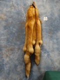 Two Soft Tanned Red Fox Pelts Taxidermy (2 x $)