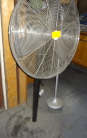 Pedestal Fan and Light