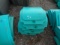 Tank Lids Fluorescent Green Lot