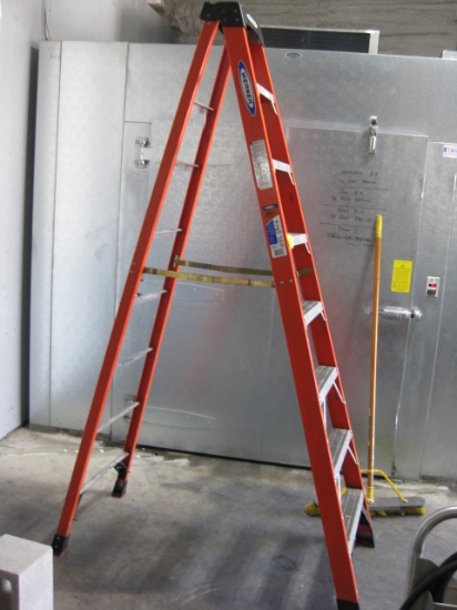 8' Werner Fiberglass Step Ladder