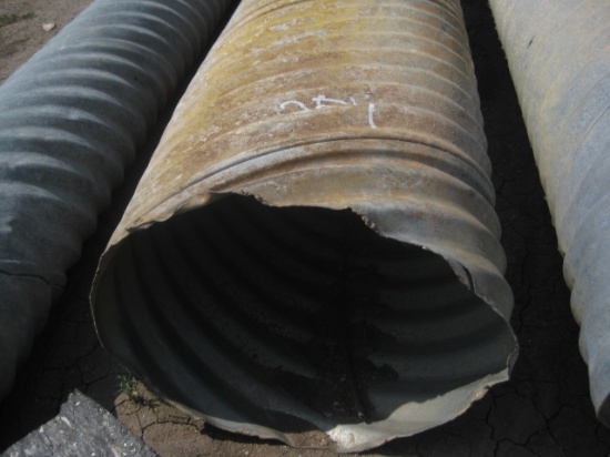 Tin Horn 20"x 20'