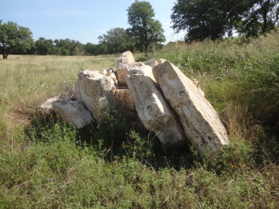 Large Landscape rocks