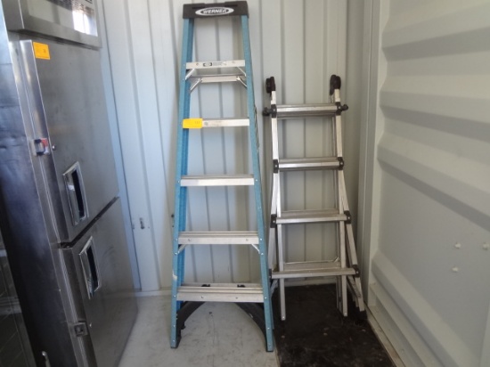 6' Werner Fiberglass Ladder and Little Giant Type Step Ladders