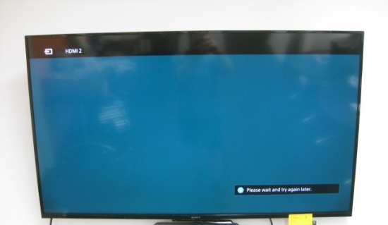 60" Sony LCD TV with Remote