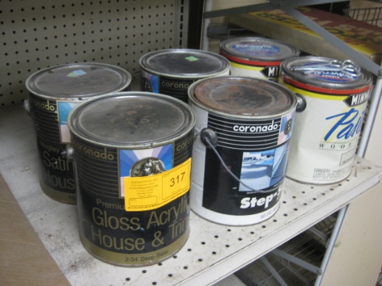 6 Gal. Paint