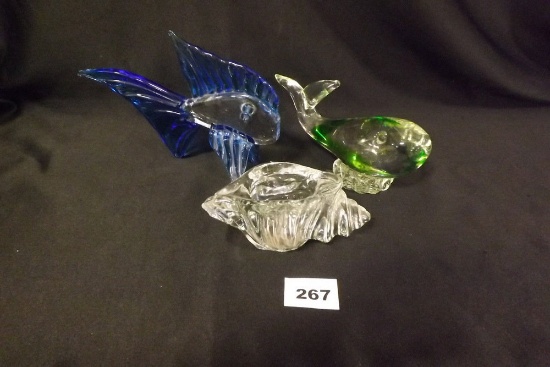 Glass Sea life