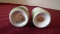 Nippon, salt & pepper shakers, cottage & blooming tree/nature scene, blue &