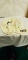 Lenox hanging plate