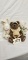 Boyd Bears Set of 3 misc